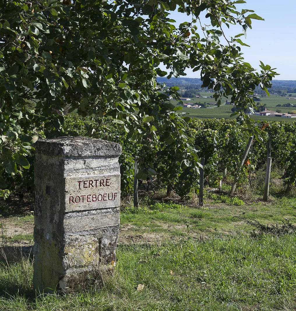 Château Tertre Roteboeuf 2007 The Wine Gate Shop