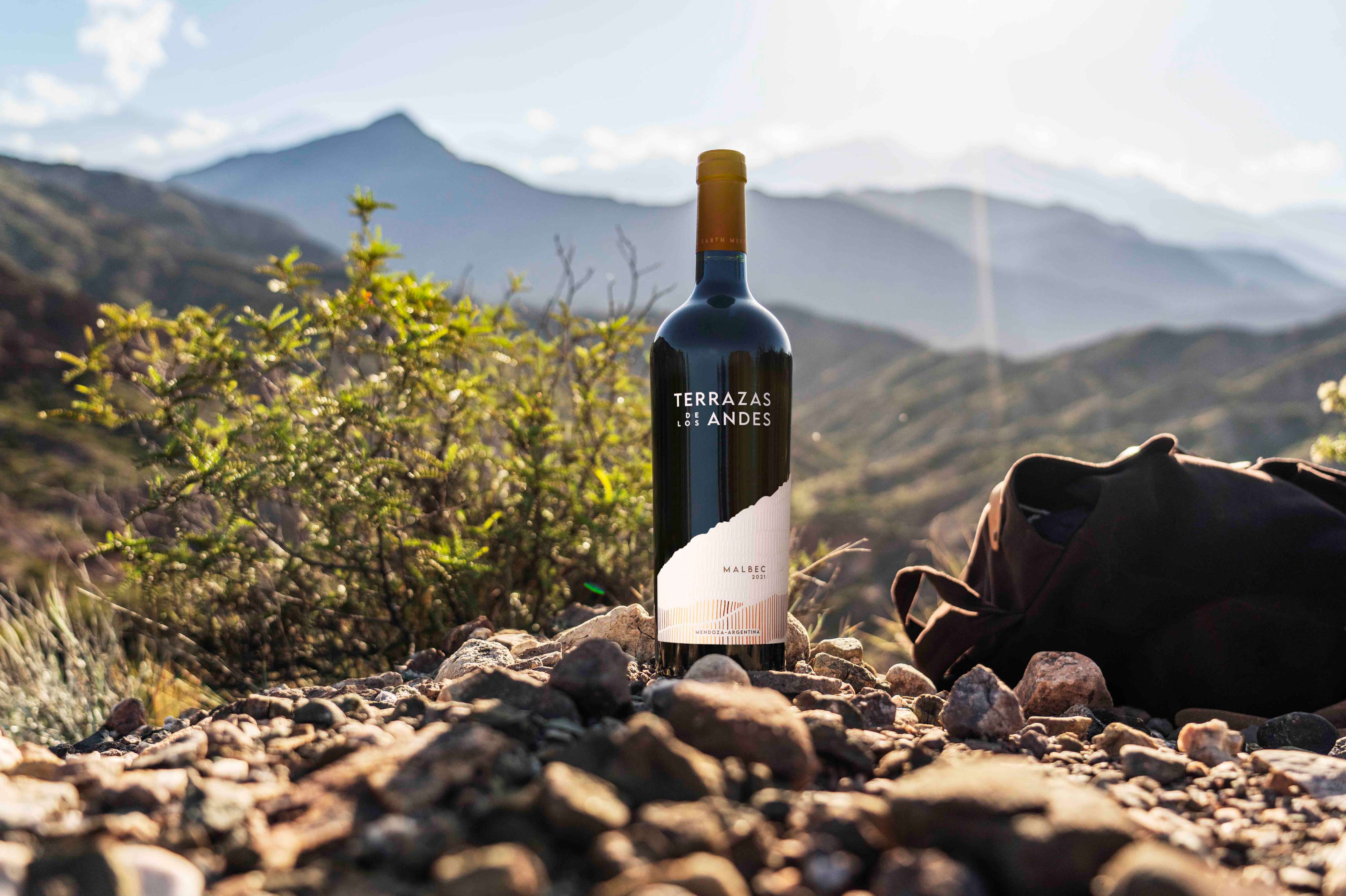 Terrazas de los Andes Malbec 2021 The Wine Gate Shop