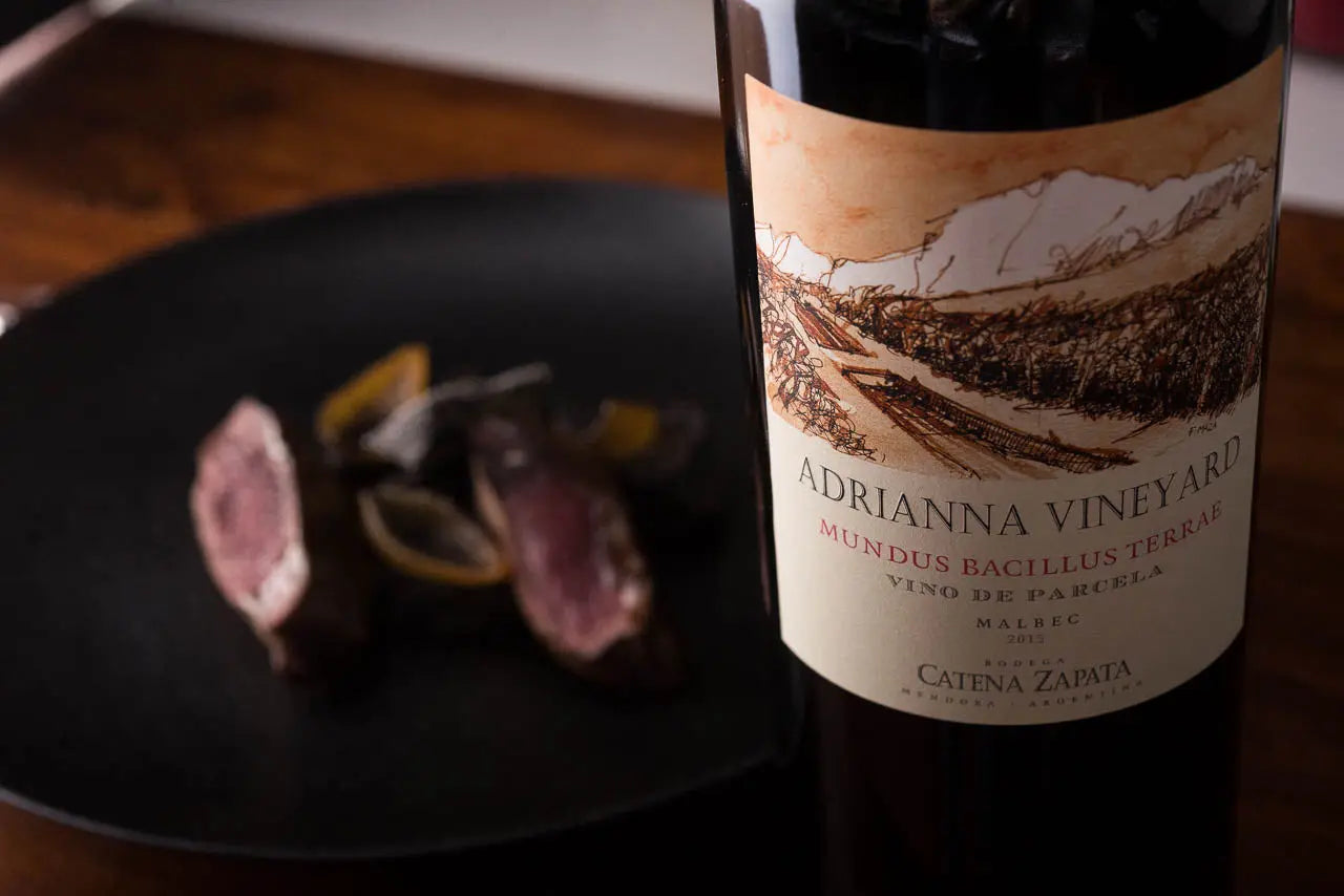 Bodega Catena Zapata Mundus Bacillus Terrae 2016 The Wine Gate Shop