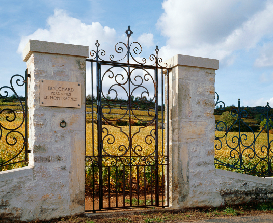 Bouchard Père et Fils Nuits-Saint-Georges Village 2018 The Wine Gate Shop