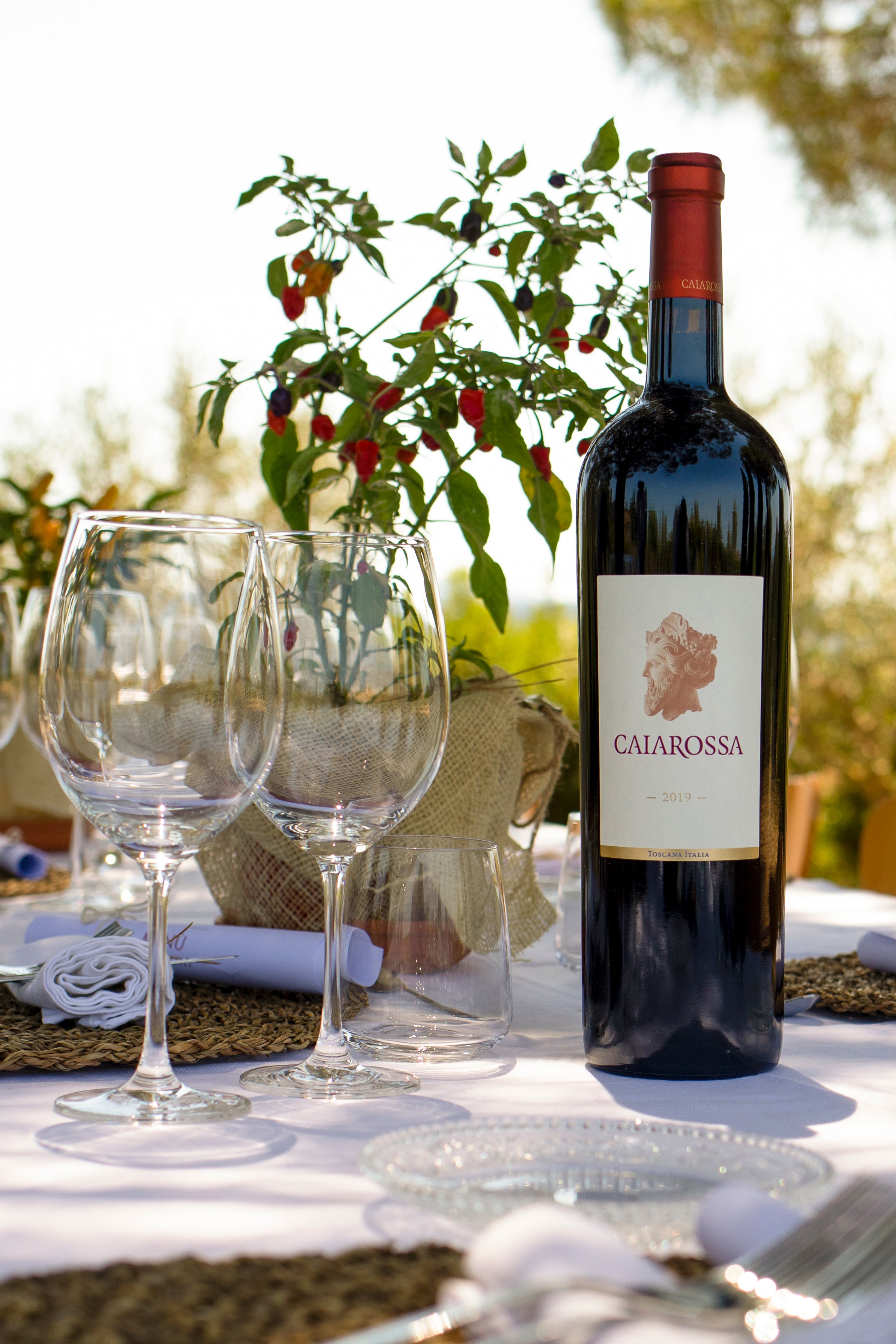 Caiarossa 2019 The Wine Gate Shop