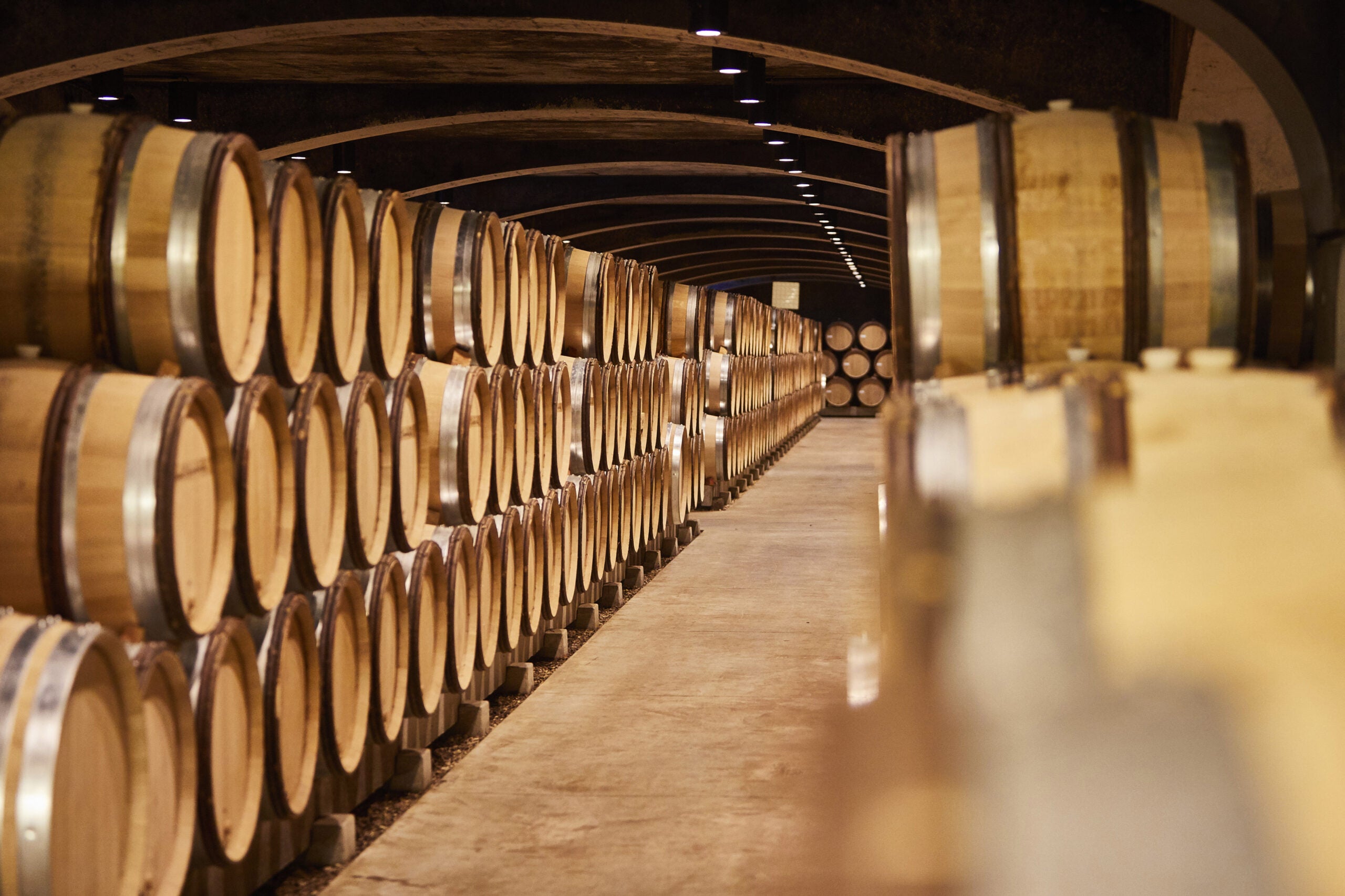 Bouchard Père et Fils Corton-Charlemagne 2018 The Wine Gate Shop