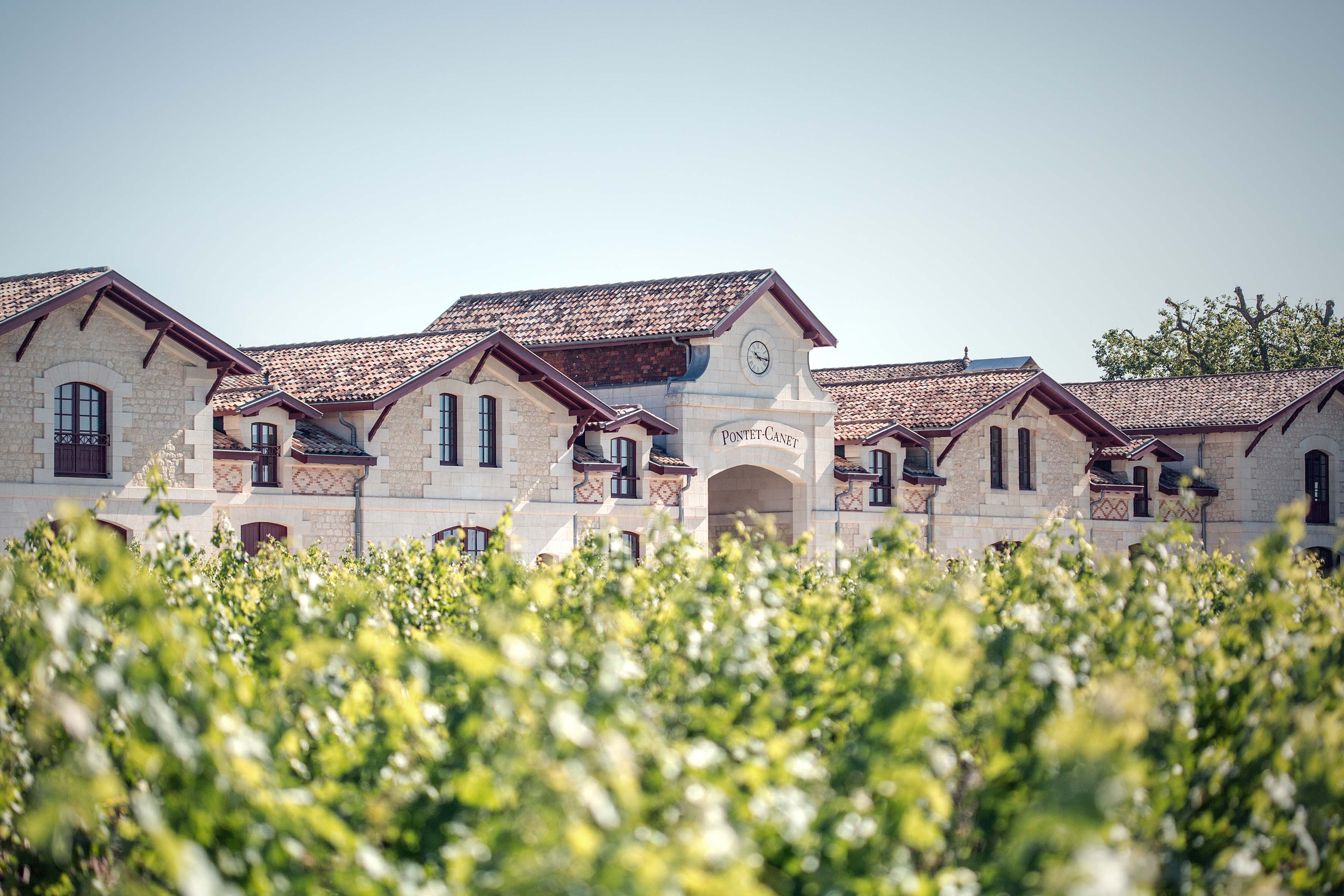 Château Pontet Canet 2017 The Wine Gate Shop