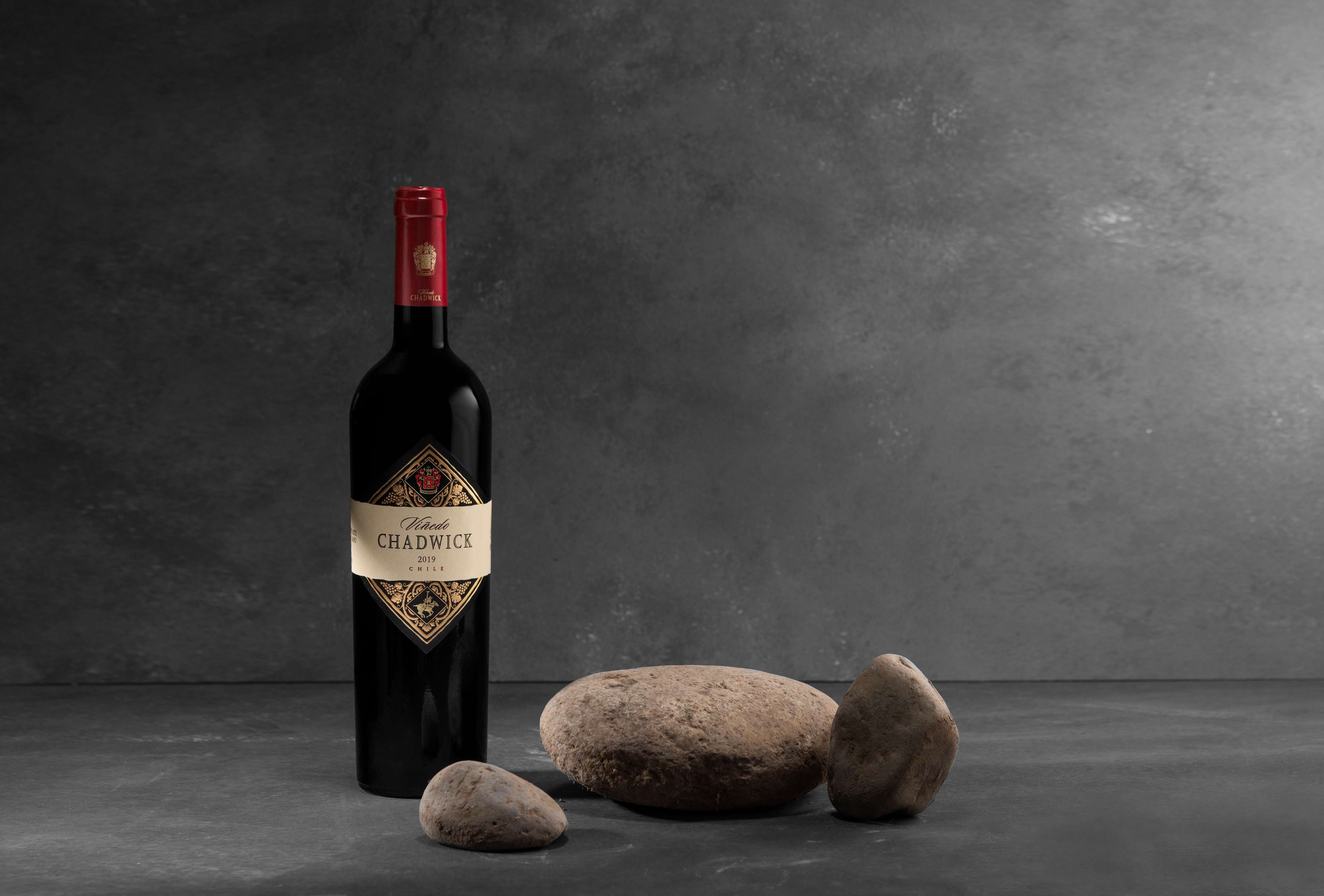 Viñedo Chadwick 2019 The Wine Gate Shop