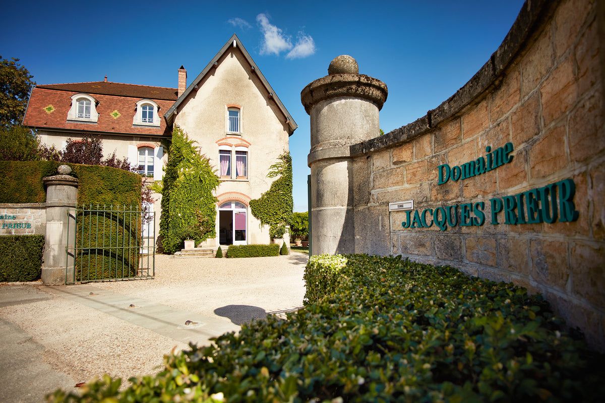 Domaine Jacques Prieur Montrachet Grand cru 2016 – The Wine Gate