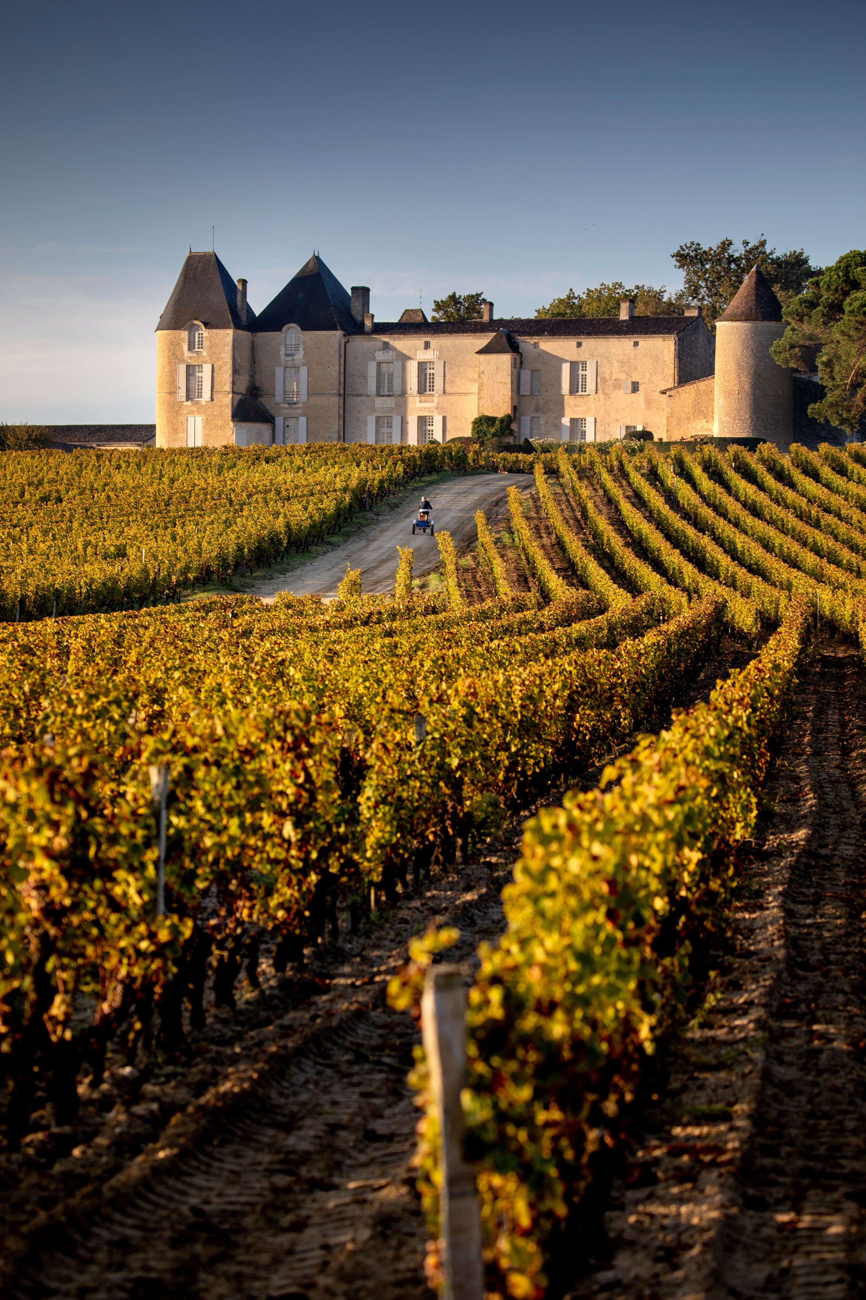 Château d'Yquem 2017 The Wine Gate Shop