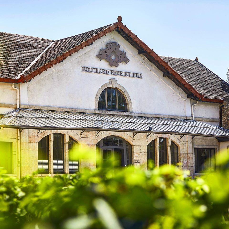Bouchard Père et Fils Chambolle-Musigny Village 2017 The Wine Gate Shop