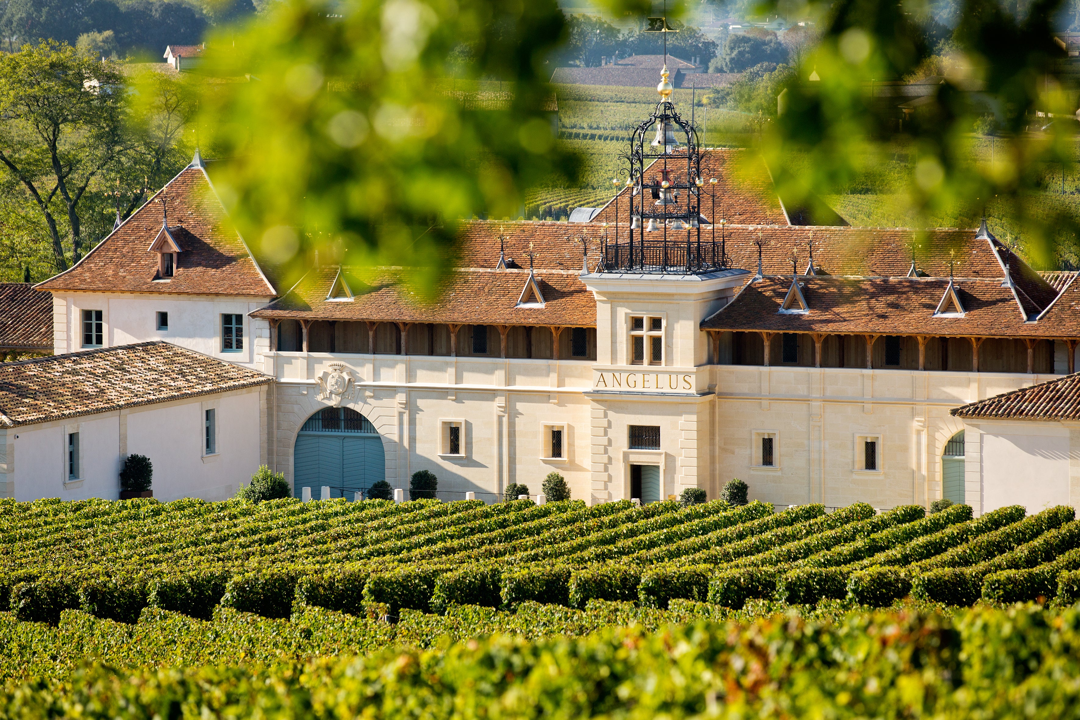 Château Angélus 2014 – The Wine Gate