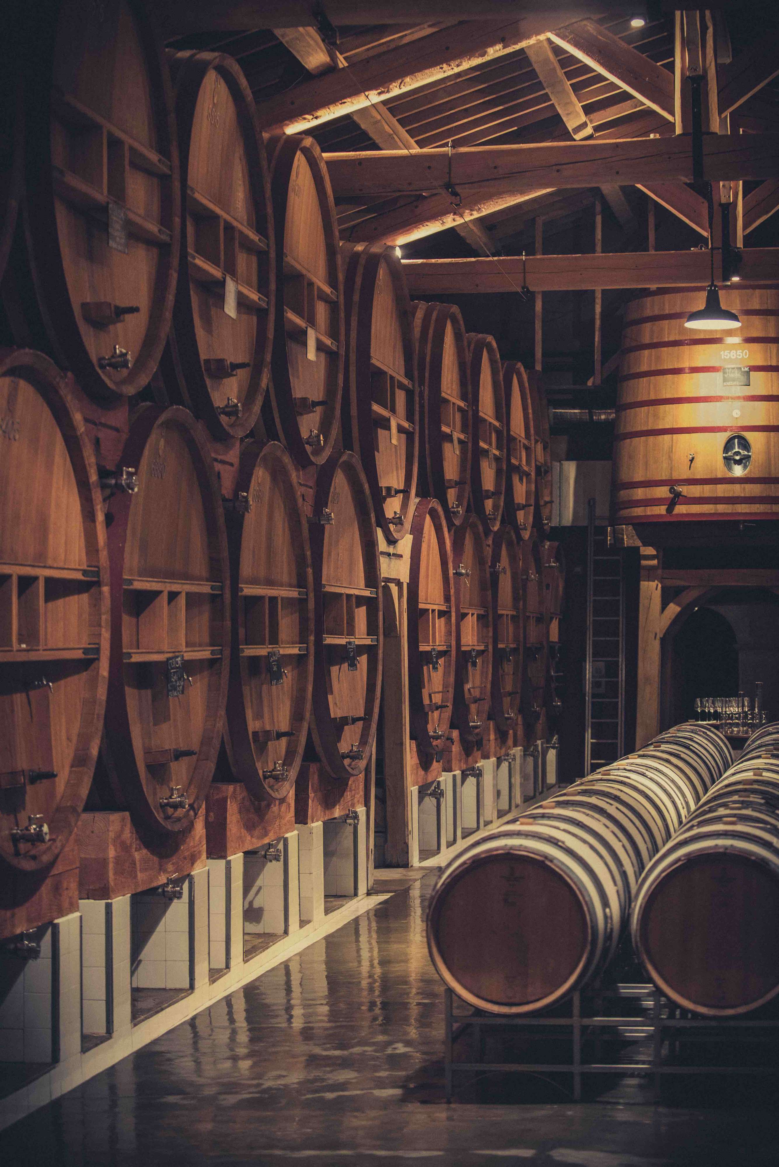 Château de Beaucastel 2017 The Wine Gate Shop